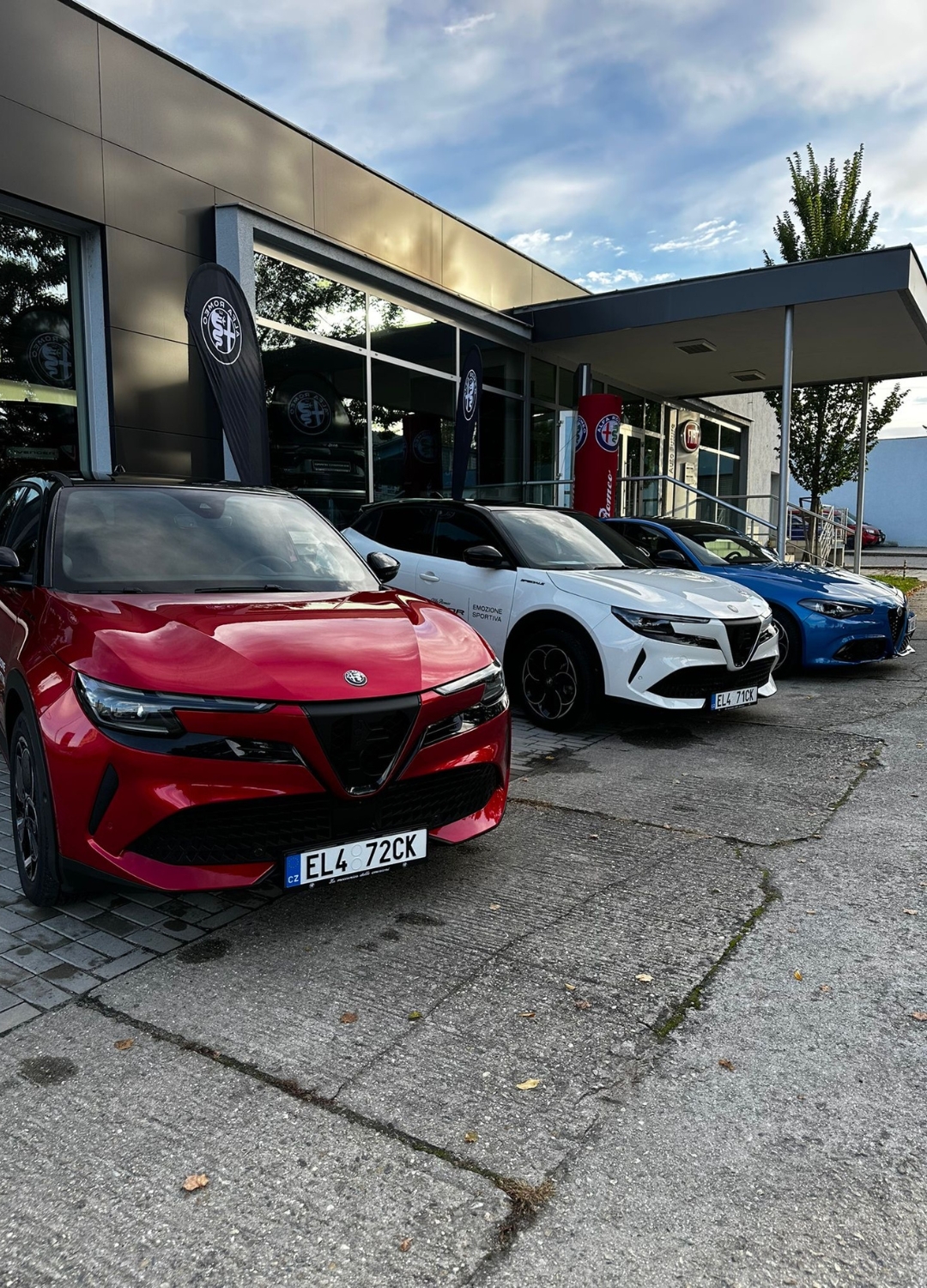 alfa_1080x1500px - 6